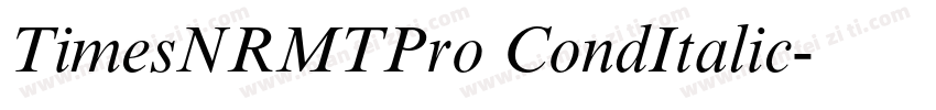 TimesNRMTPro CondItalic字体转换